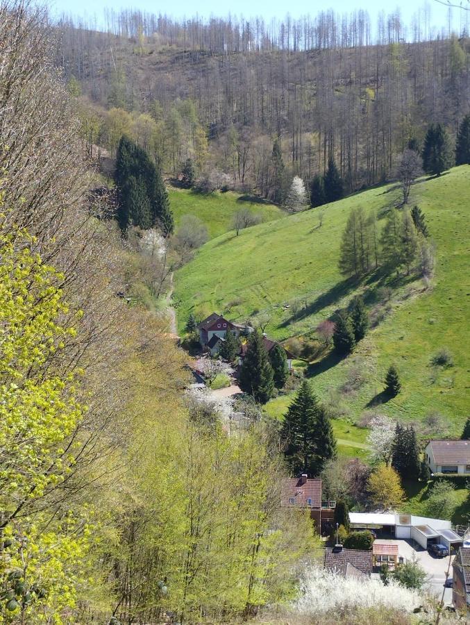 דירות Osterode am Harz Olifant In Osterode מראה חיצוני תמונה