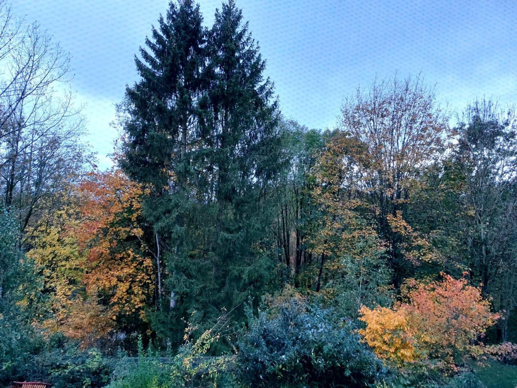 דירות Osterode am Harz Olifant In Osterode מראה חיצוני תמונה