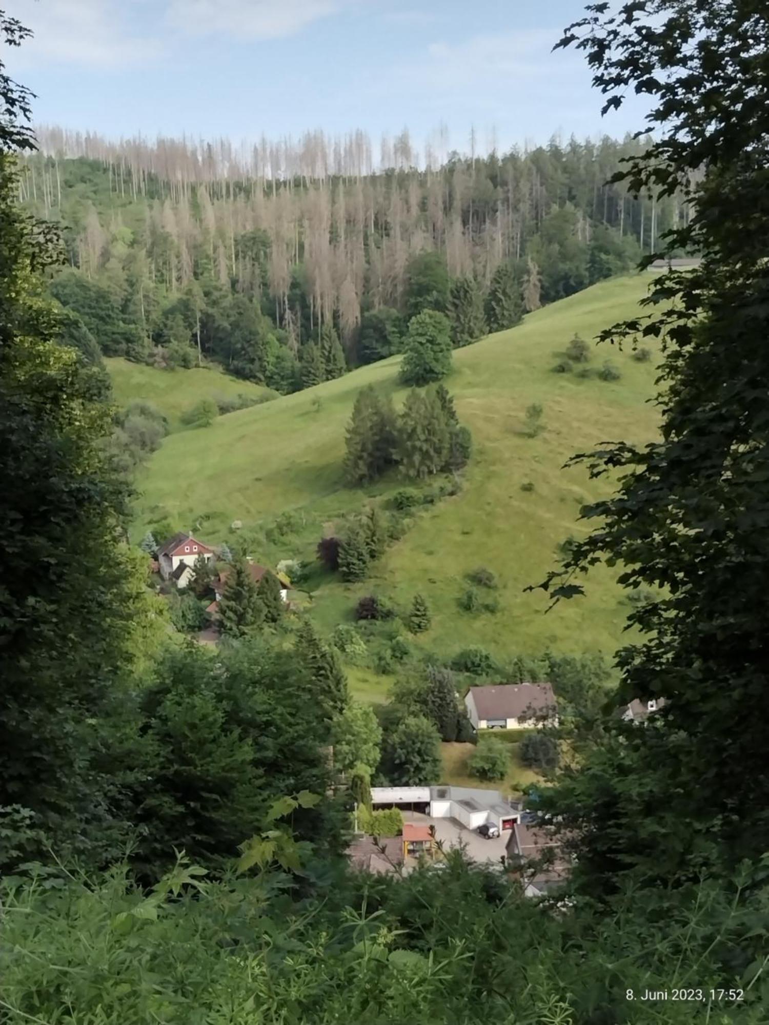 דירות Osterode am Harz Olifant In Osterode מראה חיצוני תמונה