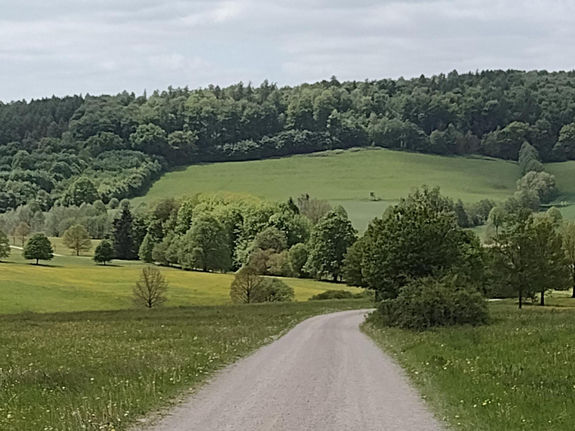 דירות Osterode am Harz Olifant In Osterode מראה חיצוני תמונה