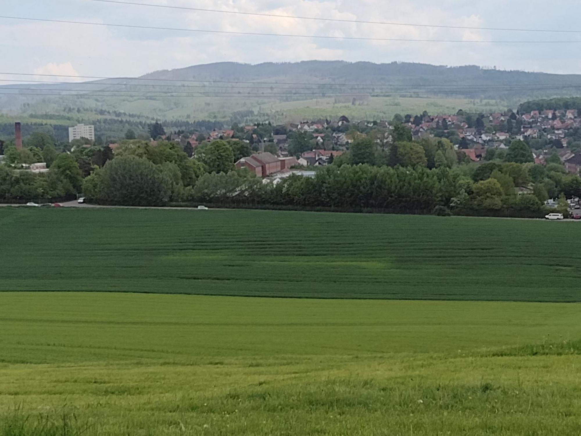 דירות Osterode am Harz Olifant In Osterode מראה חיצוני תמונה